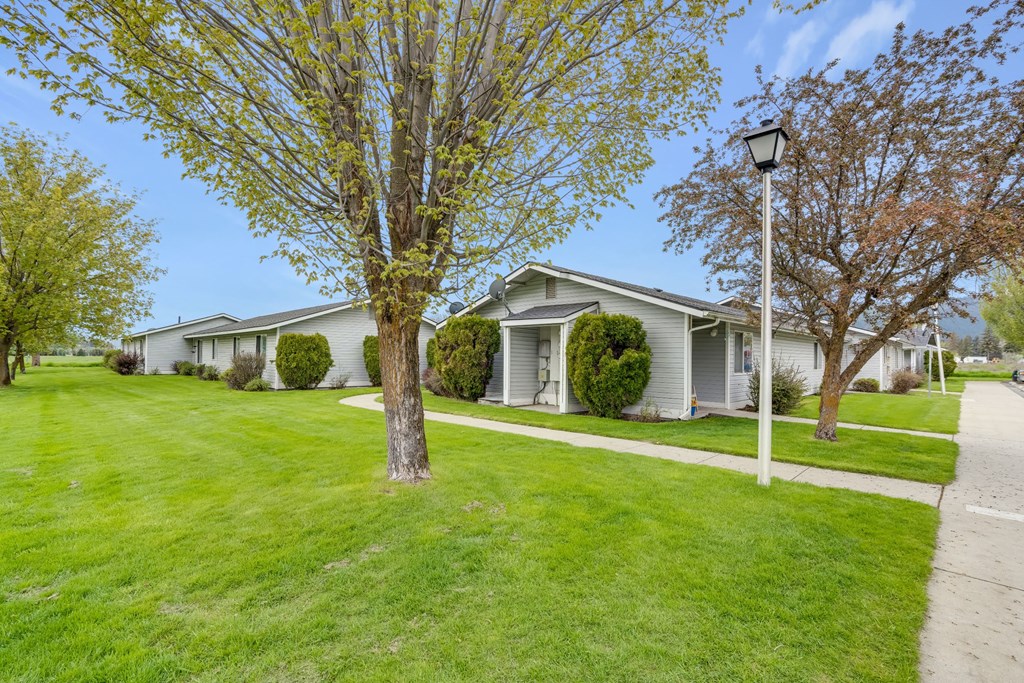 a white house with trees and a sidewalk