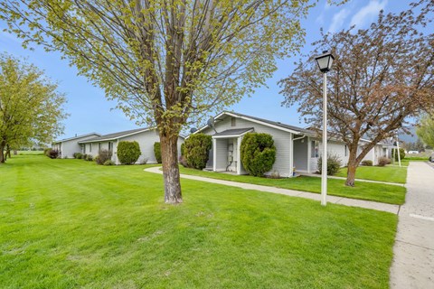 a white house with trees and a sidewalk