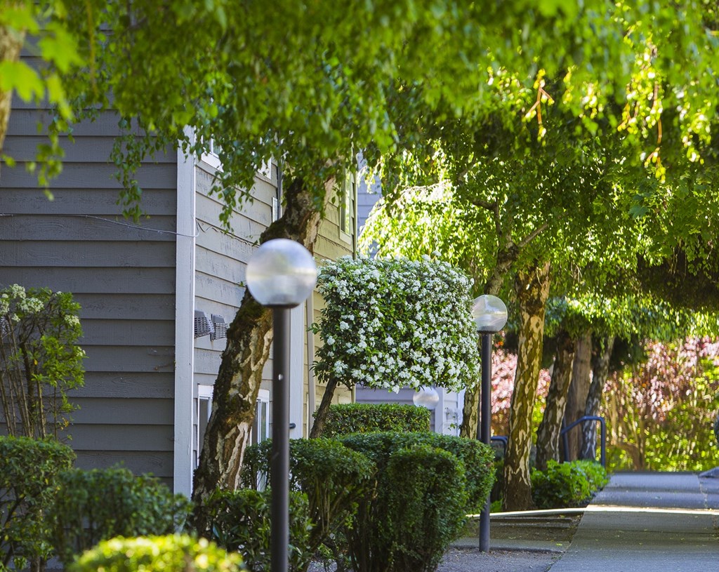 a sidewalk with trees and lamp posts in front of a house