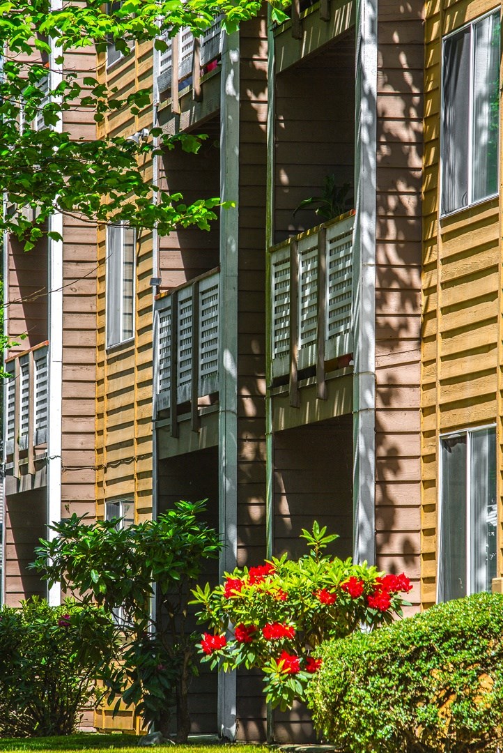 a view of the side of a building with green window shutters and red flowers
