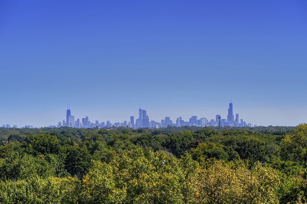a view of the skyline with trees in the foreground