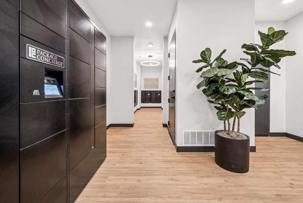 A plant in a black pot sits on a wooden floor in a modern office space.