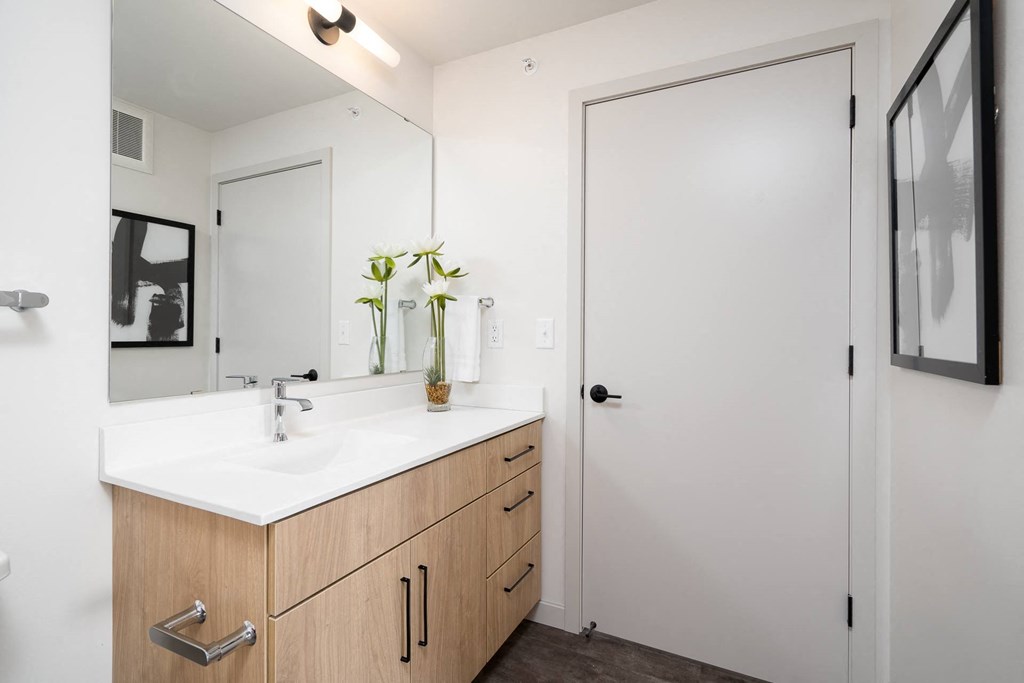 a bathroom with a sink and a mirror