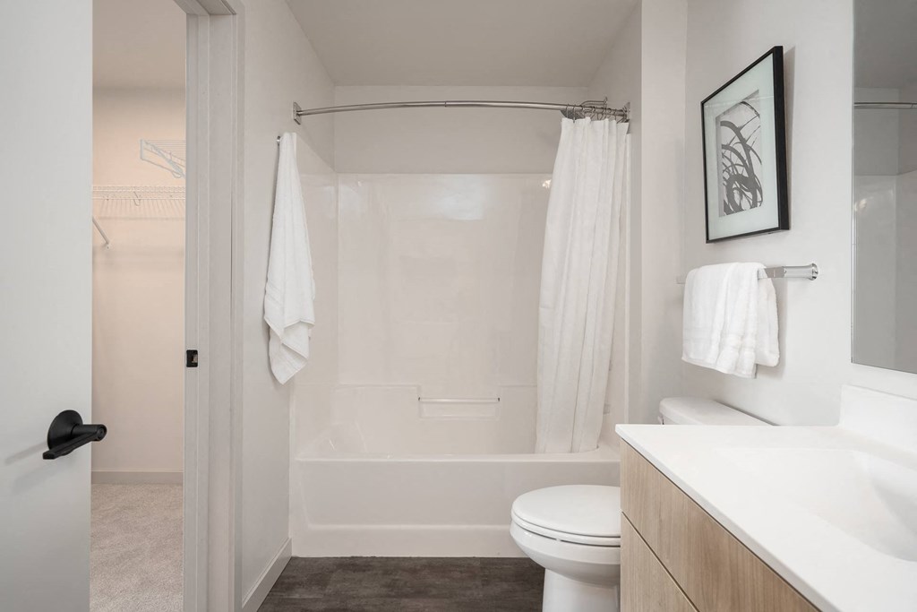 a bathroom with a shower and a sink and a toilet