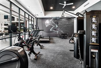 A gym with a variety of exercise equipment including treadmills, stationary bikes, and weight machines.