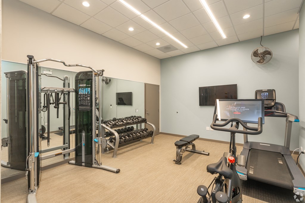 a gym with cardio equipment and weights in a room with a tv