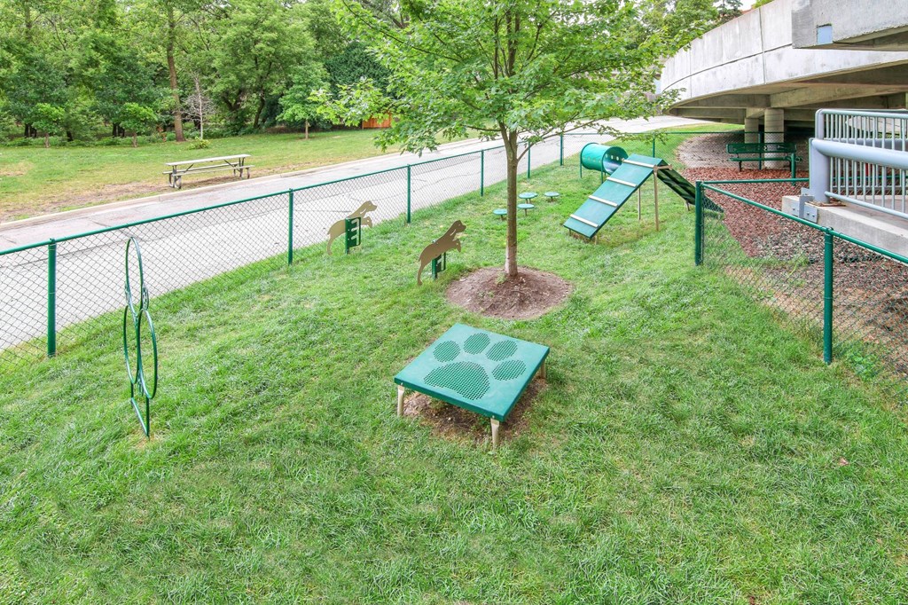 a dog park with a tree and a slide
