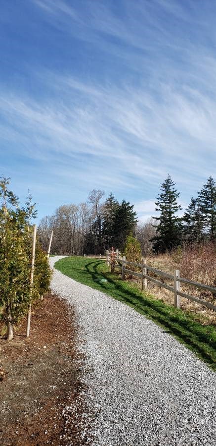 a gravel road next to a fence and trees