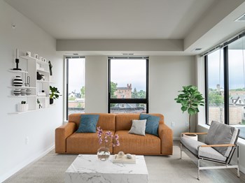 living - Photo Gallery 5