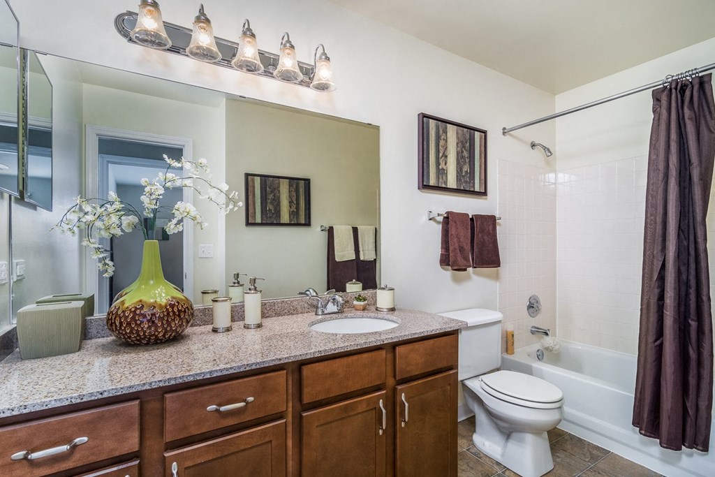 a bathroom with a sink and a toilet and a shower