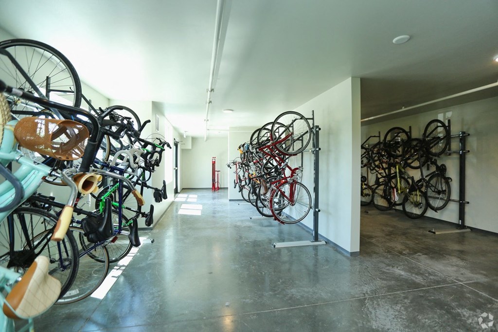a row of bikes hanging on a wall in a white room