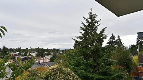 A view of a town from a high vantage point with trees in the foreground.