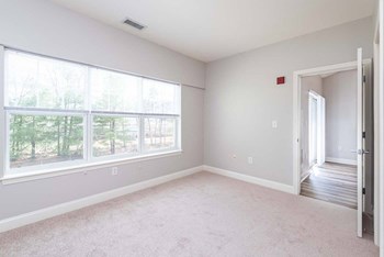 Drum Hill 2 Bedroom Apartment bedroom two with plush carpeting and extra large window - Photo Gallery 30
