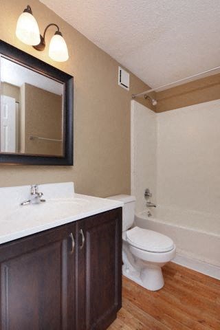 a bathroom with a toilet and a sink and a mirror
