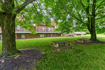 520 Birch Hill Drive 1-2 Beds Apartment for Rent - Photo Gallery 8