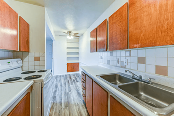 520 Birch Hill Drive 1-2 Beds Apartment for Rent - Photo Gallery 4