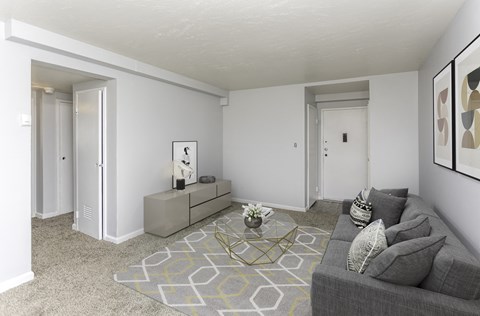 a living room with a grey couch and a yellow and white rug
