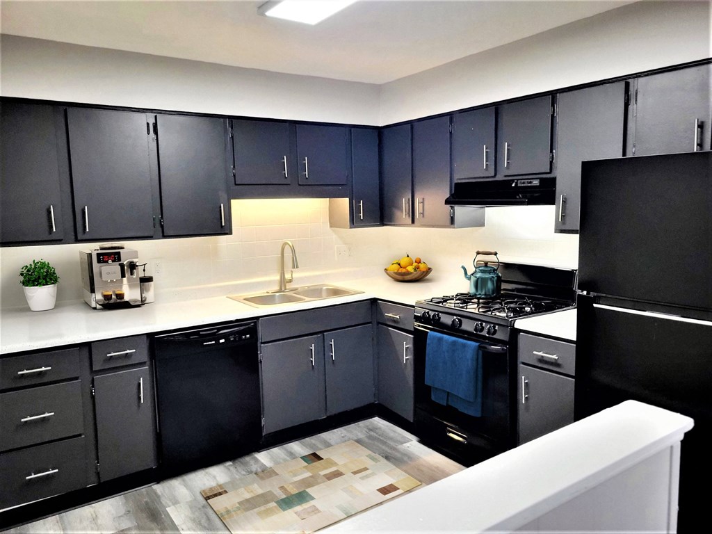 Kitchen with stainless steel appliances and black cabinets. 