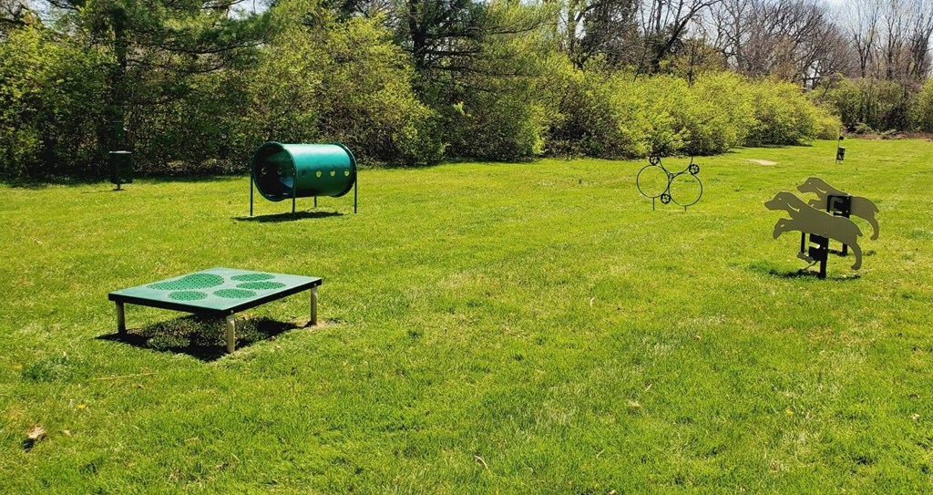 a grassy field with a picnic table and a bench