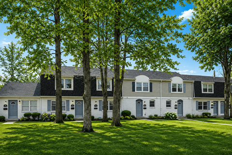 A row of houses with trees in front.