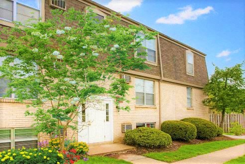 a yellow house with a tree in front of it