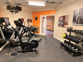 A gym with a row of treadmills and a stationary bike.