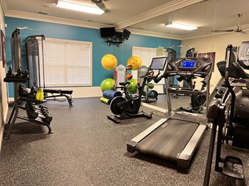A gym with a treadmill, weights, and exercise equipment.