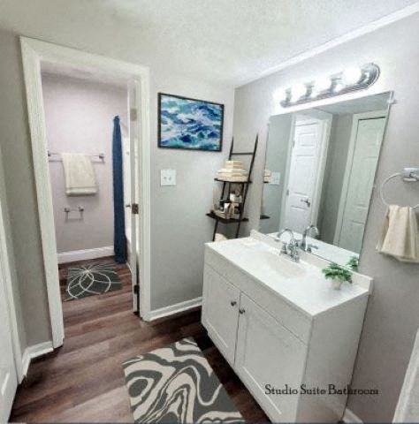 Sink with white cabinets,  a large mirror, and vanity lights next to the entrance of the bathroom. 