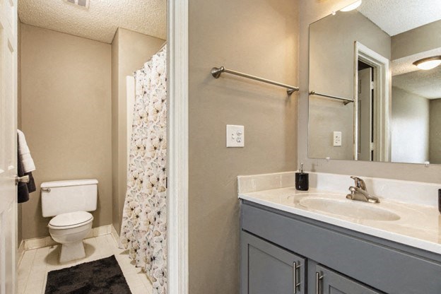 a bathroom with a sink and a toilet and a shower