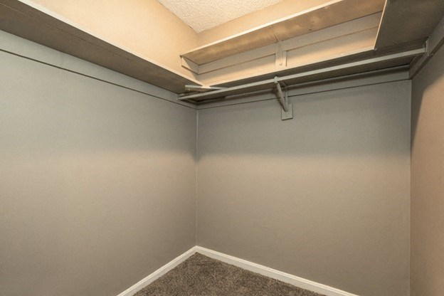 an empty closet in a room with gray walls and a white ceiling