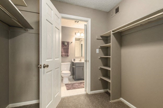 a bathroom with a closet and a toilet and a sink