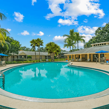 a large swimming pool with palm trees in the background