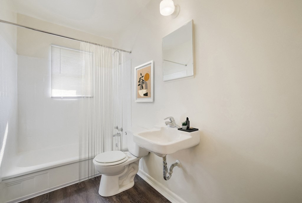 a bathroom with a sink and a toilet and a bath tub