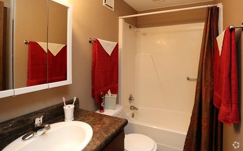 A bathroom with a sink, toilet, and a shower.