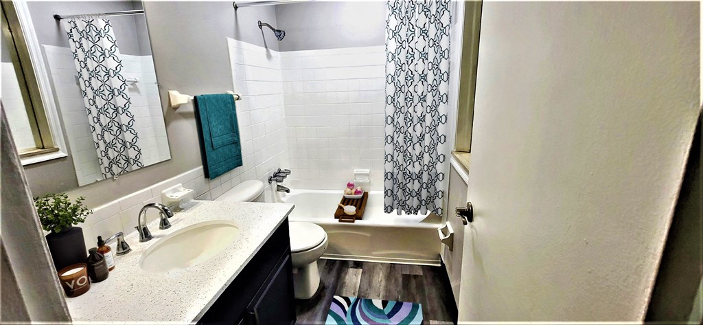 a bathroom with a sink and a toilet and a bath tub