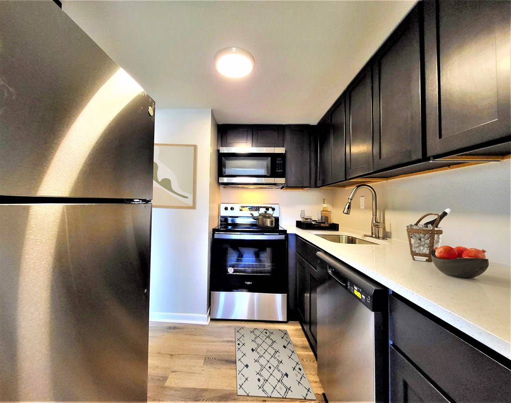 a kitchen with black cabinets and stainless steel appliances
