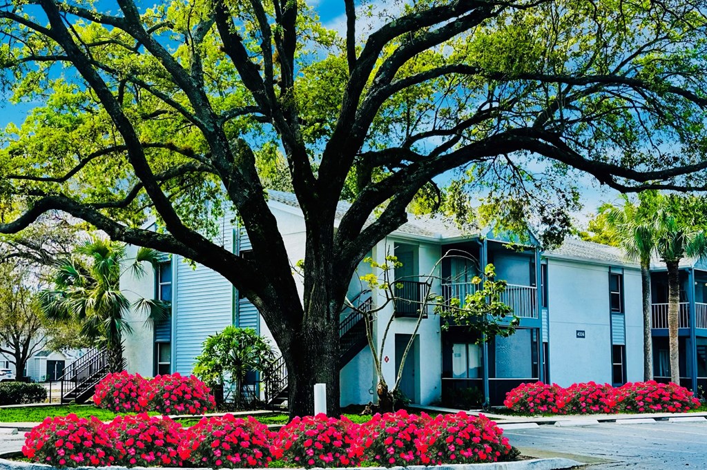 A building with a large tree in front of it at Aqua Bay Apartments in Naples, FL 34116