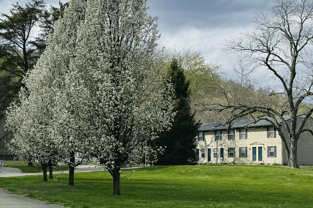 A white house with a green lawn and trees in front.