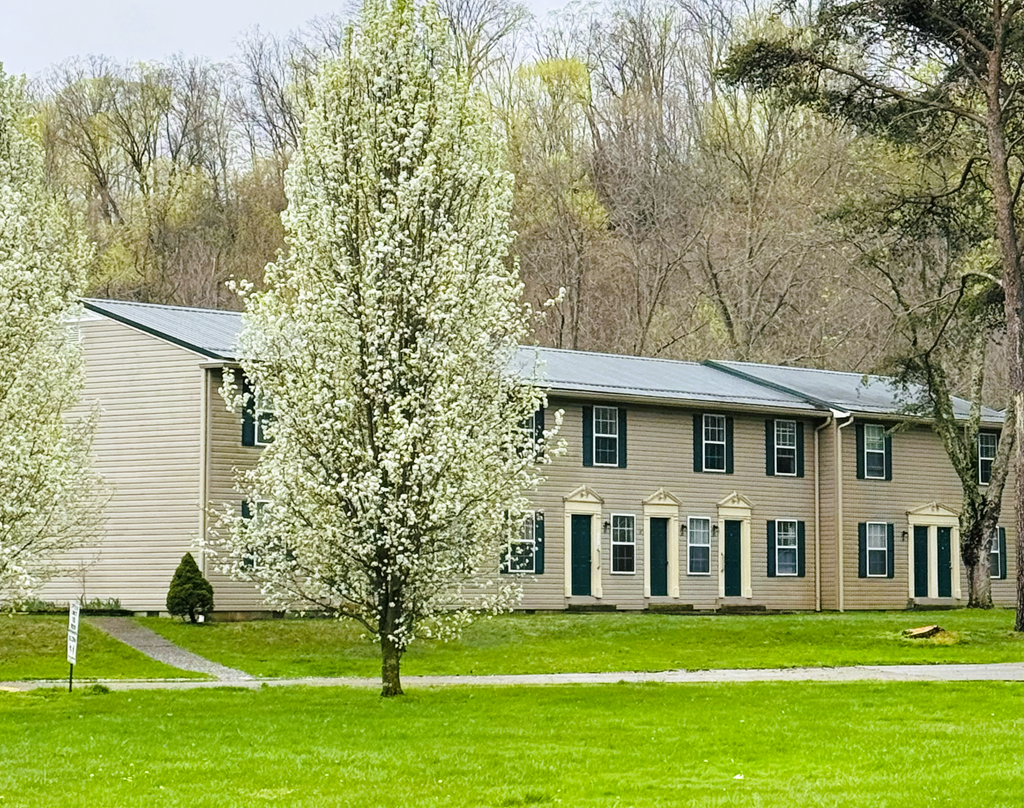 A house with a green lawn and a tree with white flowers in front.