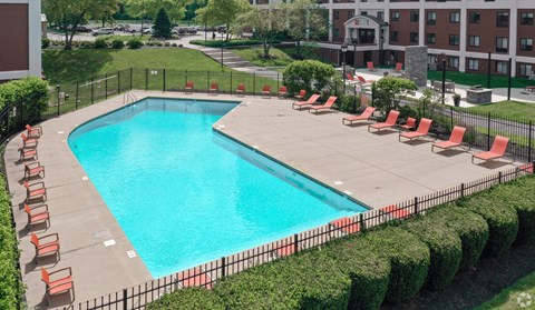 A large swimming pool surrounded by red lounge chairs and green bushes.