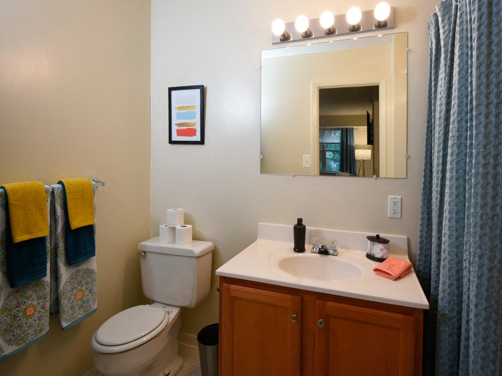 Bathroom Accessories at Woodridge Apartments, Randallstown, 21133