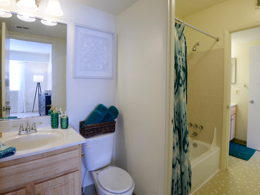 Designer Bathroom Suites at Woodsdale Apartments, Maryland, 21009