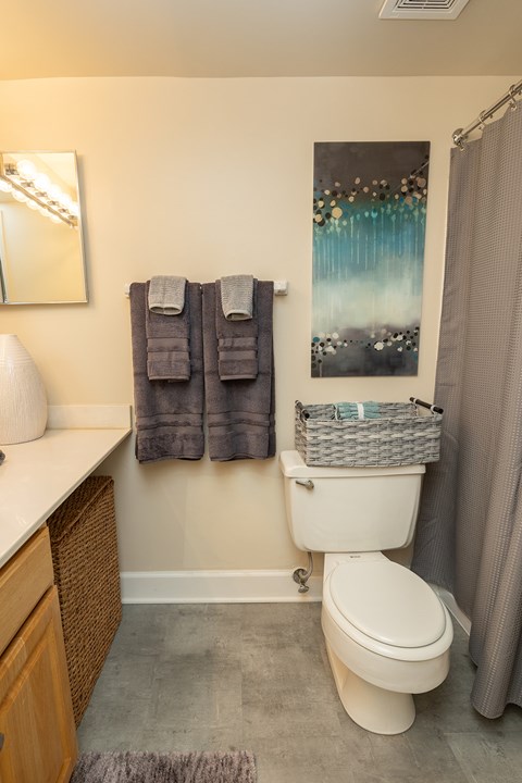 A bathroom with a toilet, a mirror, a towel rack with two towels, a basket, and a painting on the wall.at Deer Park Apartments, Randallstown, 21133