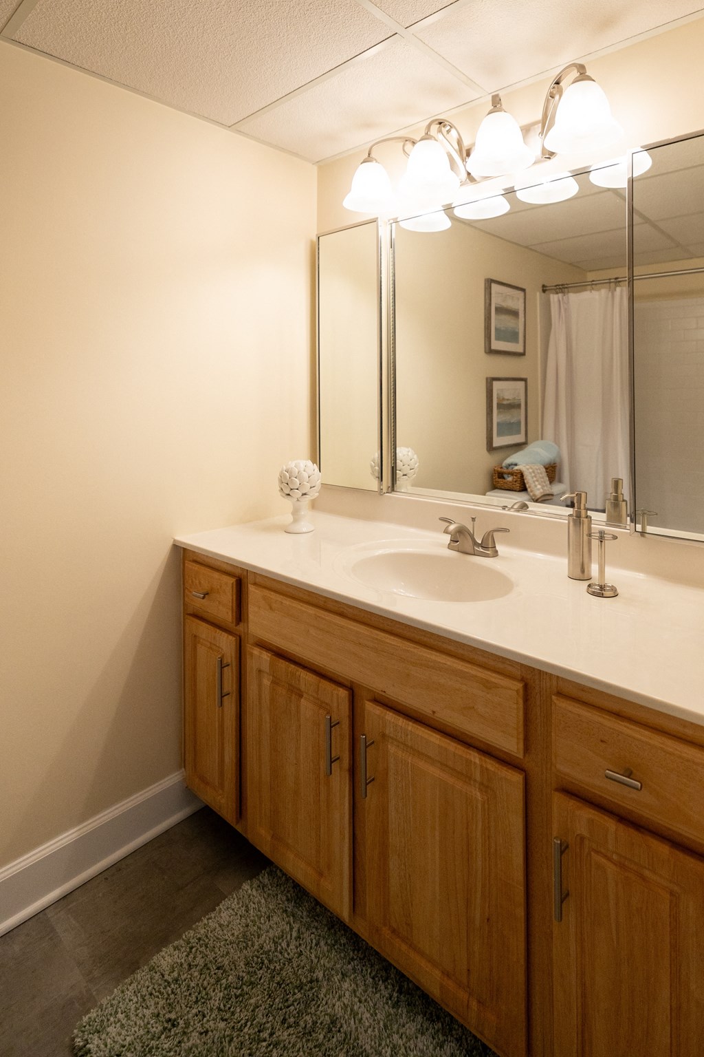 Bathroom at Ivy Hall Apartments*, Towson