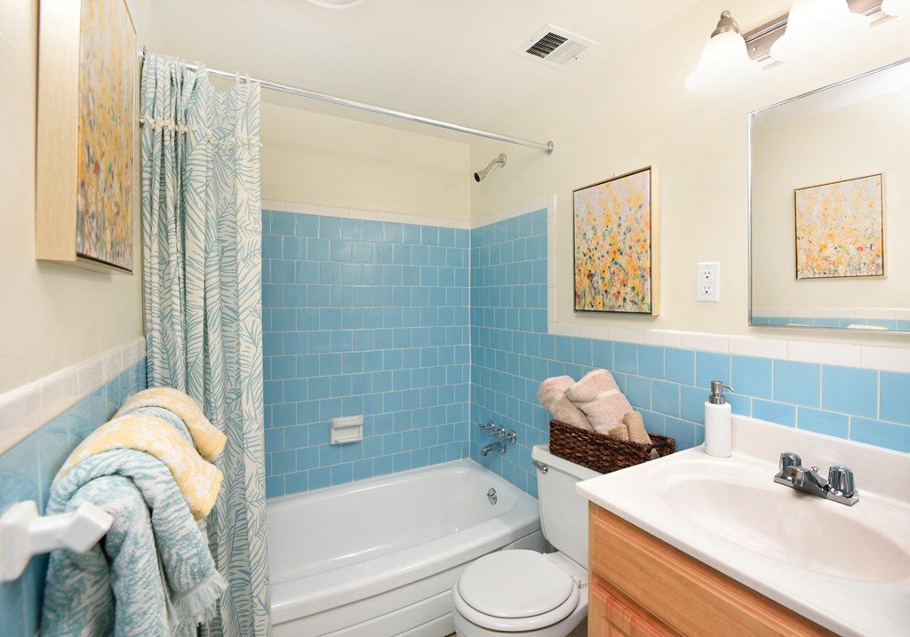 Hallway bathroom with soaking tub at Winston Apartments, Maryland