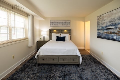 a bedroom with a white bed and a blue rug