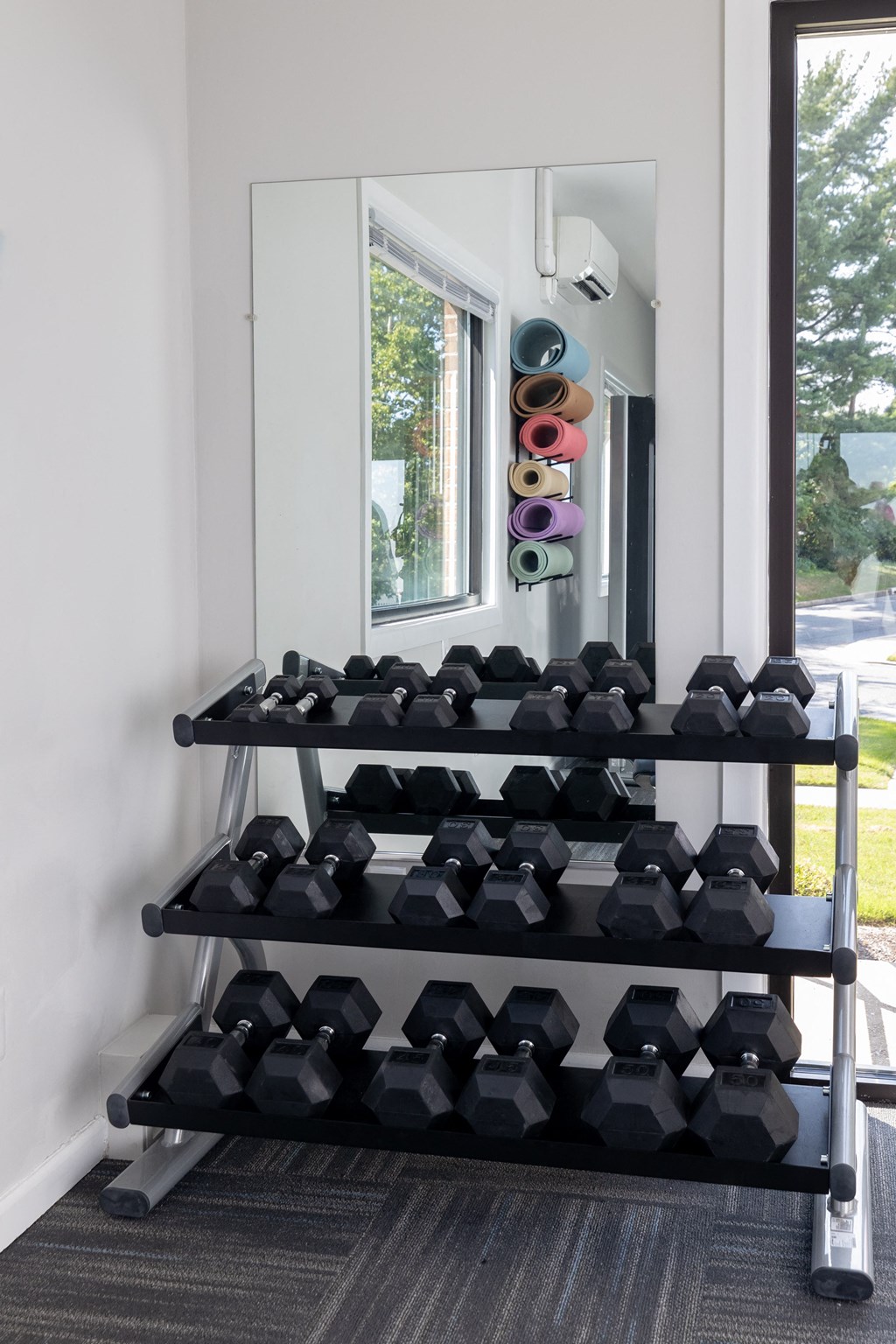 Rack of dumbbells in front of a mirror in a gym at Cromwell Valley Apartments, Towson