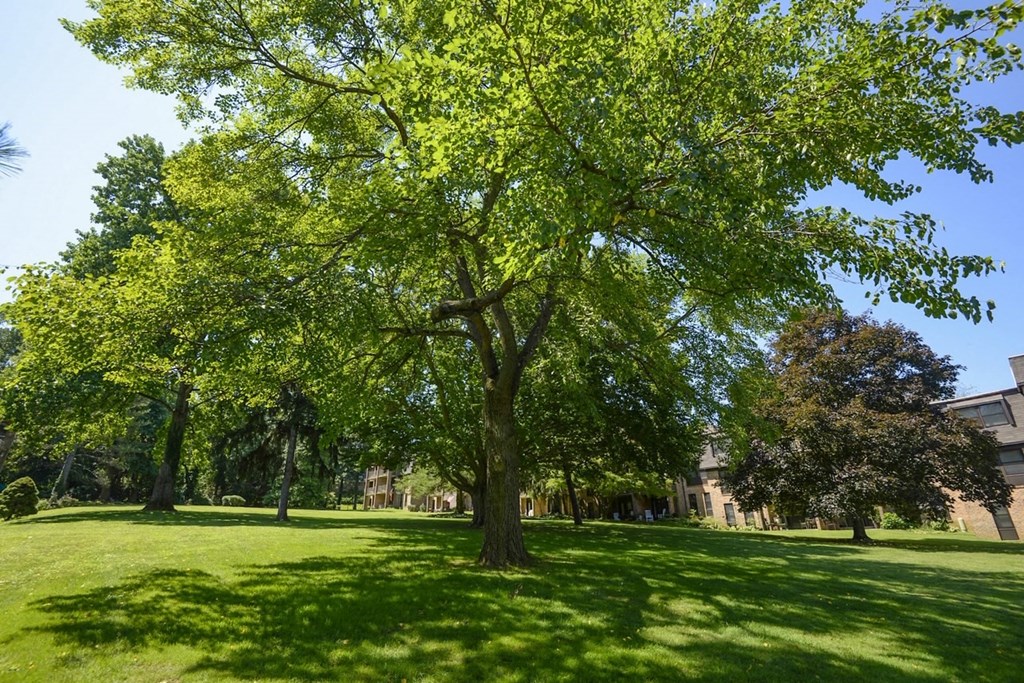Beautiful landscaped courtyard at Charlesgate Apartments, Towson, Maryland