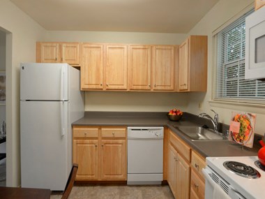 802 Kingston Court 1-3 Beds Apartment for Rent - Photo Gallery 1