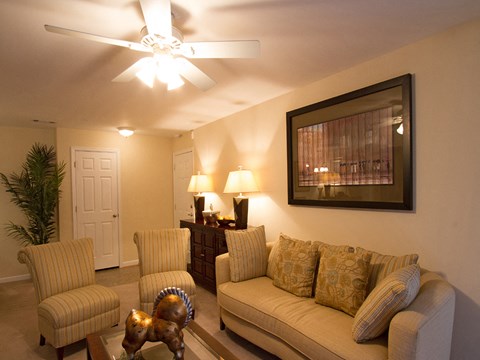 Large living room with plush carpet at The Summit at Owings Mills Apartments, Owings Mills, MD
